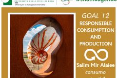 Goal 12 - RESPONSIBLE CONSUMPTION AND PRODUCTION